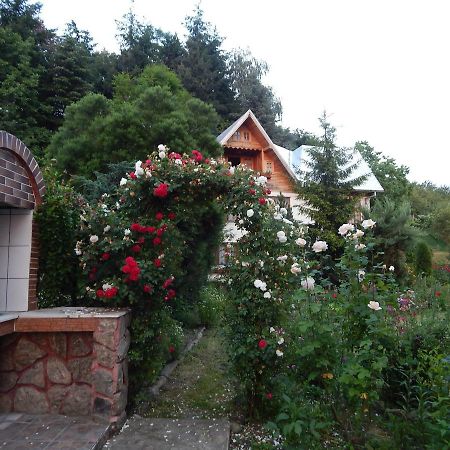 Pensiunea Paradis Borobanesti Exteriér fotografie