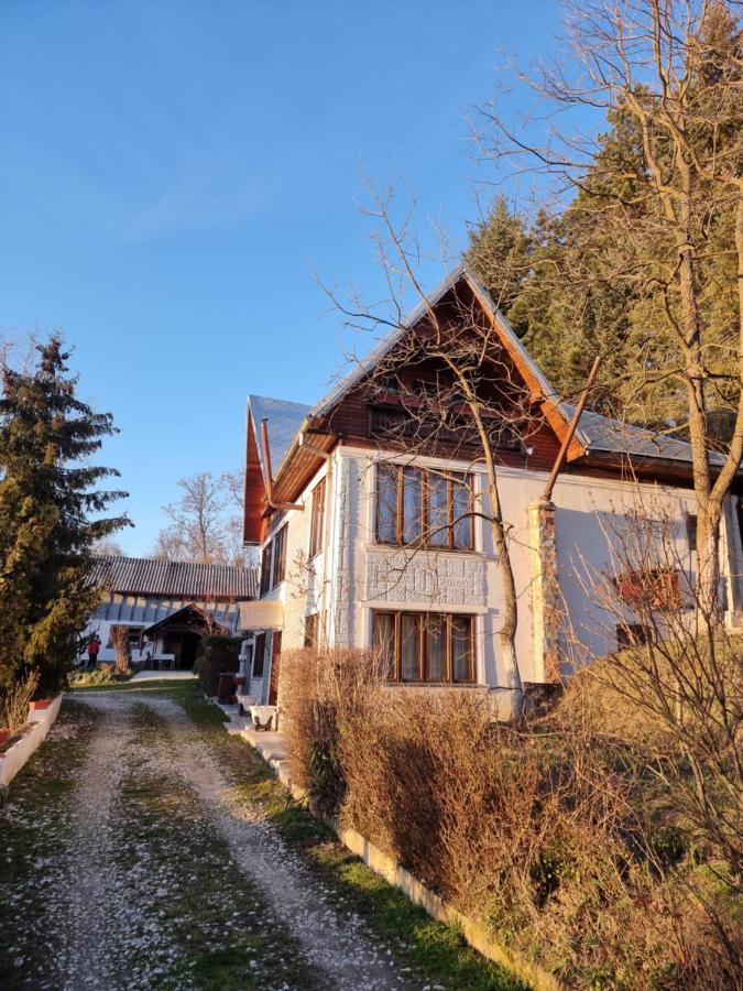 Pensiunea Paradis Borobanesti Exteriér fotografie