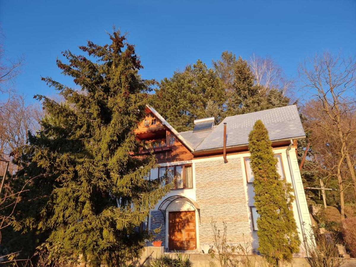 Pensiunea Paradis Borobanesti Exteriér fotografie