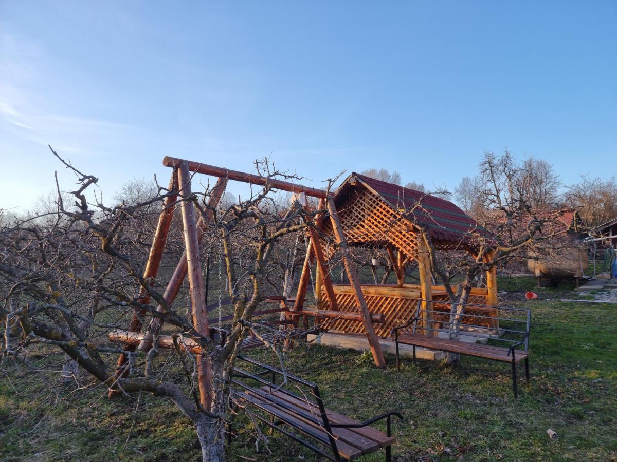 Pensiunea Paradis Borobanesti Exteriér fotografie