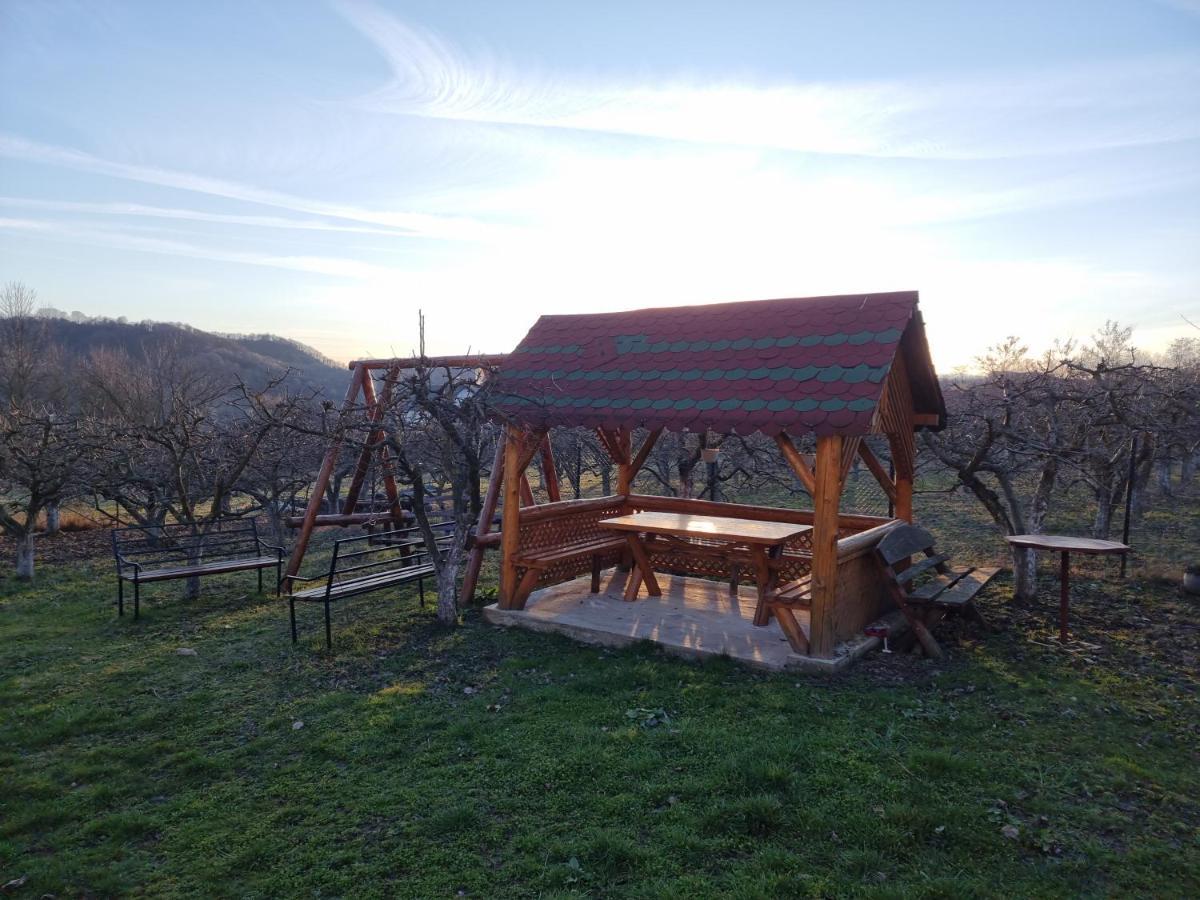 Pensiunea Paradis Borobanesti Exteriér fotografie