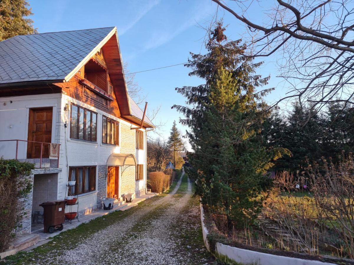 Pensiunea Paradis Borobanesti Exteriér fotografie