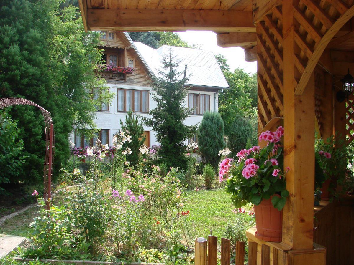 Pensiunea Paradis Borobanesti Exteriér fotografie