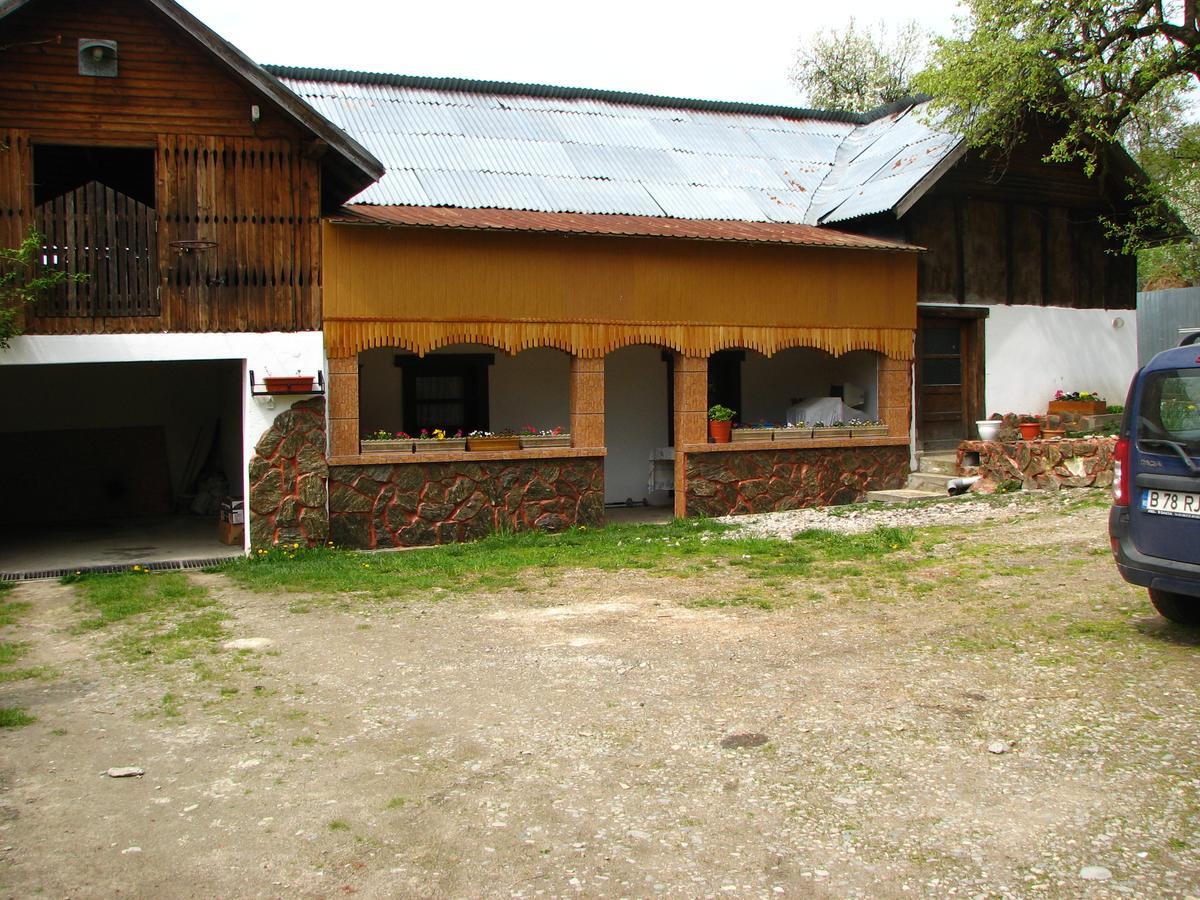 Pensiunea Paradis Borobanesti Exteriér fotografie