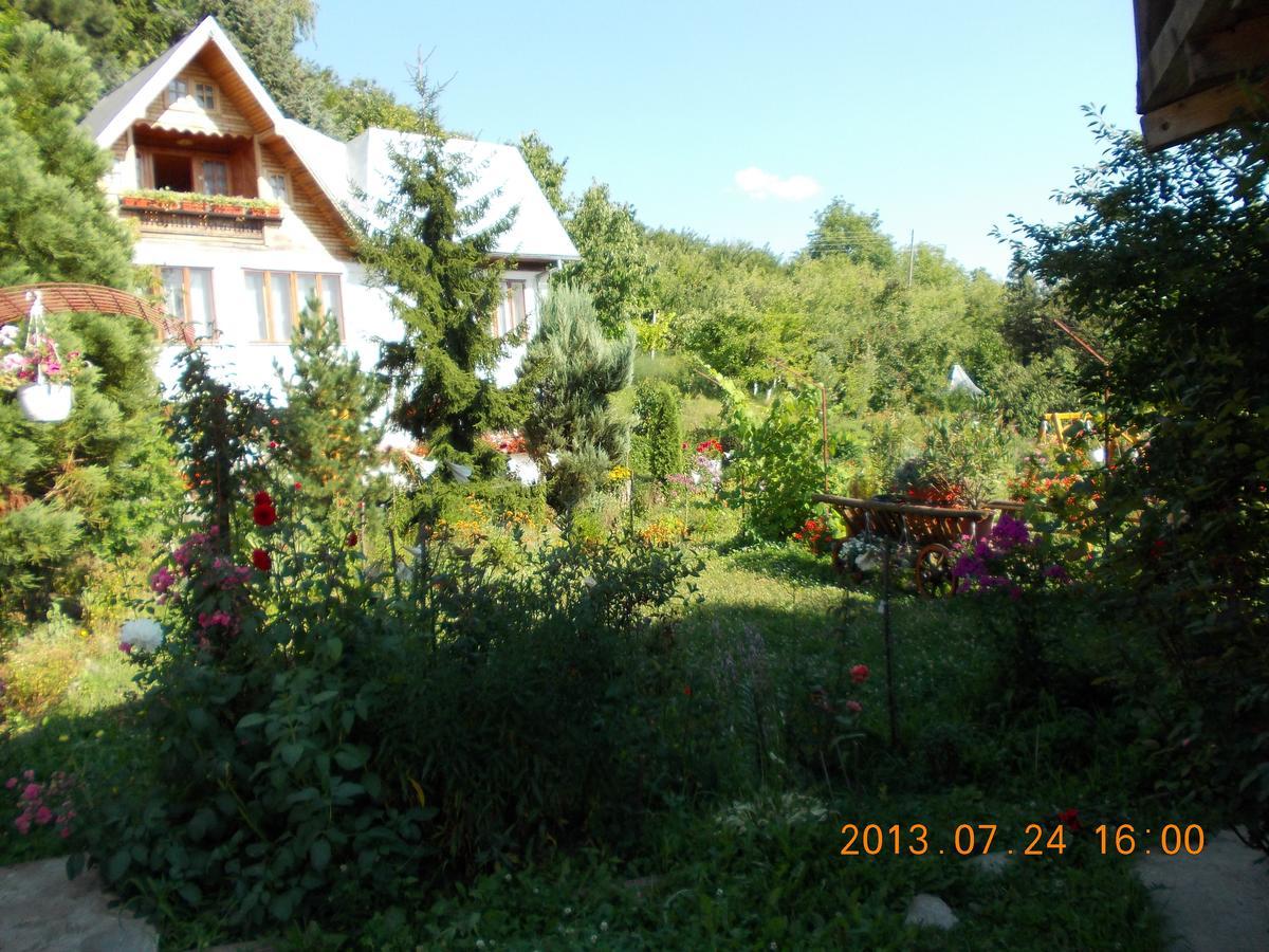 Pensiunea Paradis Borobanesti Exteriér fotografie