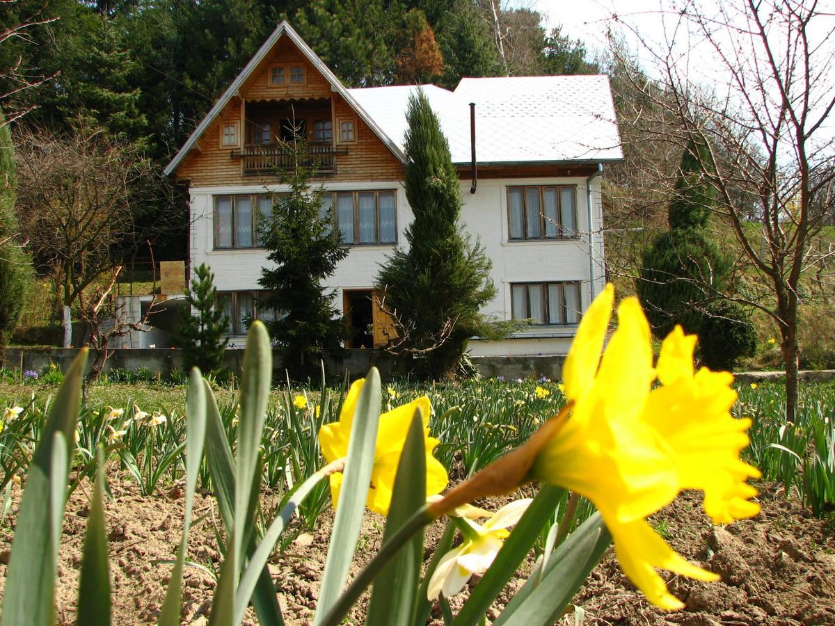 Pensiunea Paradis Borobanesti Exteriér fotografie