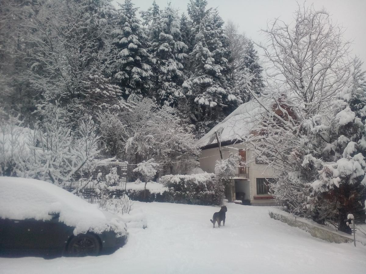 Pensiunea Paradis Borobanesti Exteriér fotografie