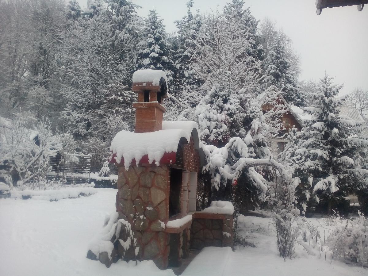 Pensiunea Paradis Borobanesti Exteriér fotografie