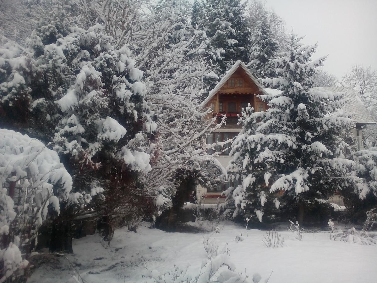 Pensiunea Paradis Borobanesti Exteriér fotografie